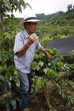 visit coffee plantation colombia