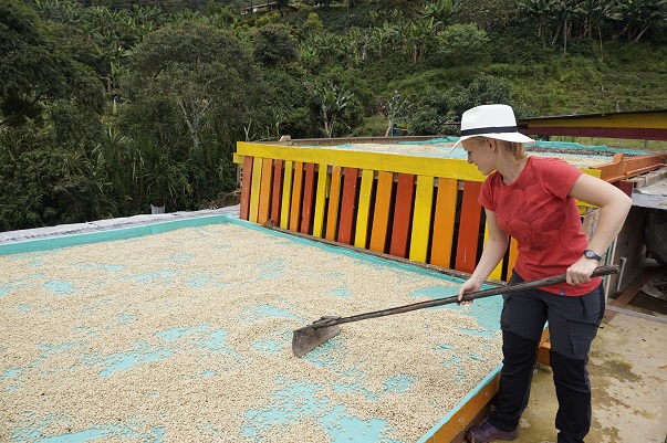 visit coffee plantation colombia