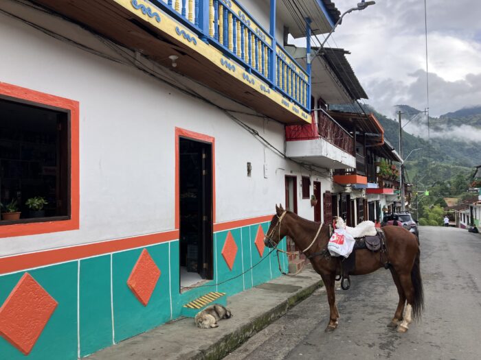 Foto tomada por Kelly Hendriks